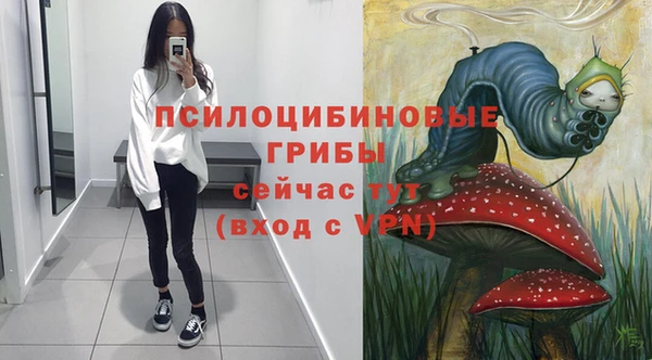 первитин Армянск